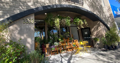 This Impossibly Charming Used Bookstore May Be Southern California's Best-Kept Secret