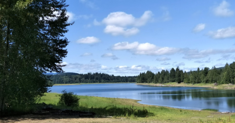 Washington Just Finished A New Park That Was First Proposed In 1987