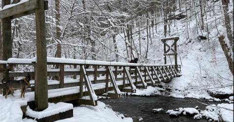 The 2.8-Mile Rock Furnace Trail Leads Hikers To The Most Spectacular Winter Scenery In Pennsylvania