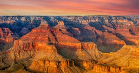 12 Surefire Signs You Have Strong Roots in Arizona