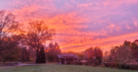 The Underrated Local Park In Ohio Where You Can Watch For Barred Owls And Owlets