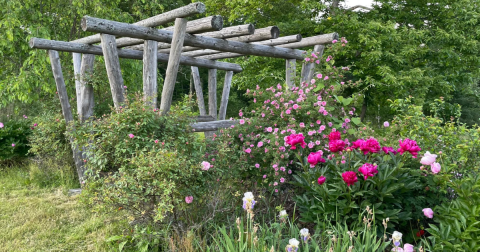 Explore A Little-Known Arboretum In This Small Maine Country Town