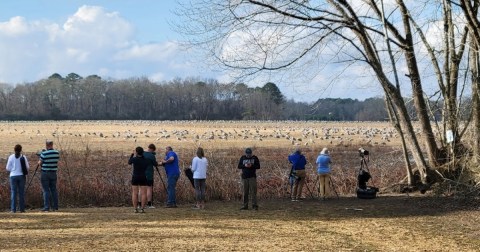 The One Annual Winter Festival In Alabama Every Alabamian Should Bundle Up For At Least Once