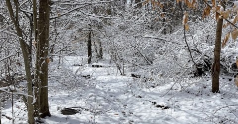 A Peaceful Escape Can Be Found Along The Northern Stony Brook Blue And Yellow Loop Trail In New Jersey