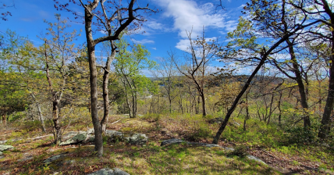 This Little-Known Trail Is Quite Possibly The Best Walking Path In Connecticut