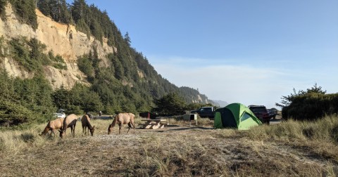 This Year-Round Campground In Northern California Is One Of America's Most Incredible Oceanfront Oases