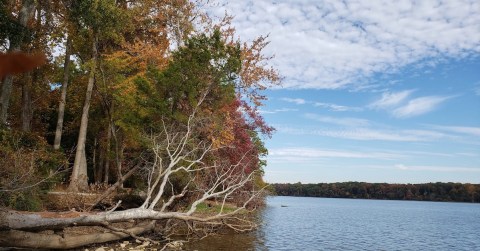 Enjoy A Long Walk At This Underrated Local Park In Alabama