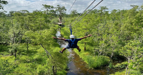 This Unique Experience Should Be On Everyone’s Louisiana Bucket List