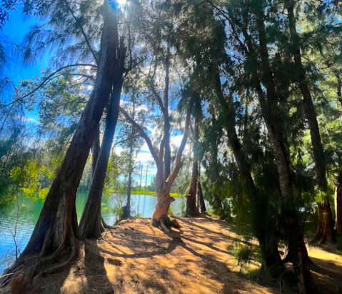 Exploring This Local Small Town Park In Florida Is The Definition Of An Underrated Adventure