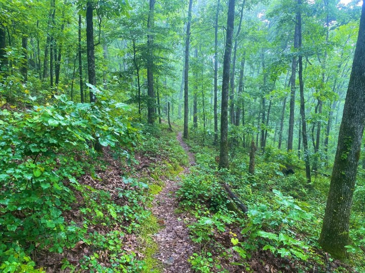 best hike near Perryville Arkansas