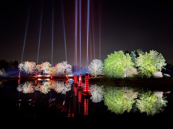 Christmas lights in Illinois