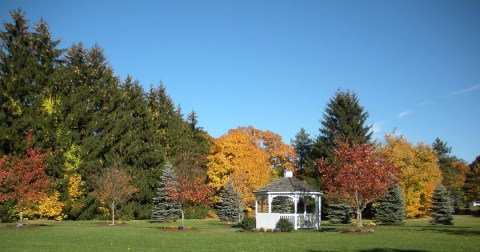 Enjoy A Peaceful Day At This Underrated Local Park In Massachusetts