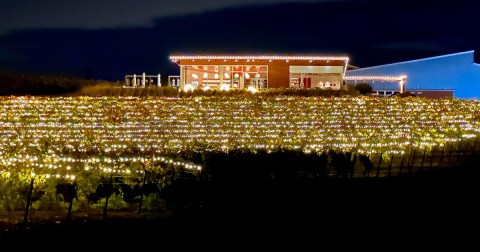 Enjoy Wine And Cheese In A Northern California Vineyard Illuminated With Thousands Of Sparkling Lights