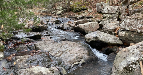 Explore Shut-Ins, Limestone Bluffs, And Rock Formations In One Day When You Visit This Wilderness Area In Missouri