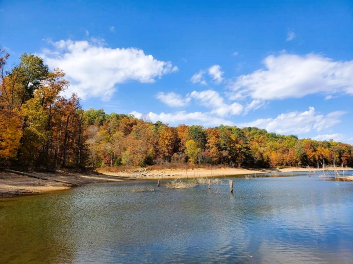 hiking trail in Rogers Arkansas