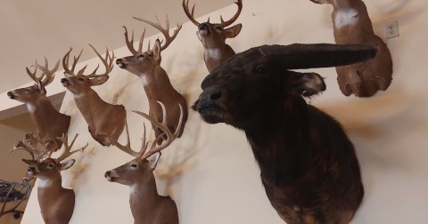 The Hunting-Themed Pub In New Jersey Is Truly Enchanting