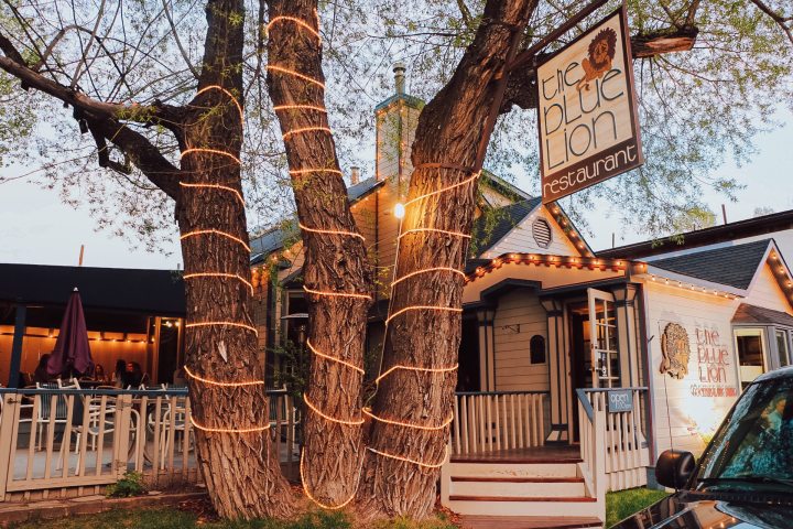 The moment visitors step into The Blue Lion, they are transported to a bygone era. Housed in a building dating back to 1978, this quaint restaurant exudes the warmth and character of yesteryear.