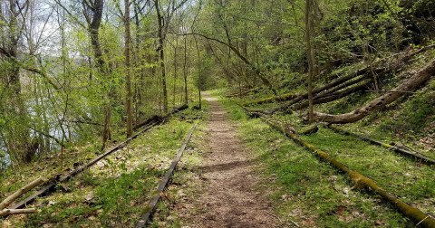 Enjoy A Secluded Stroll On A Little-Known Path Along This Iconic West Virginia River