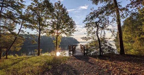 Your Ultimate Guide To State Parks In Louisiana