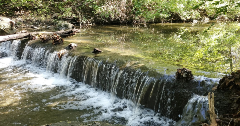 Enjoy A Scenic Stroll On A Little-Known Path Through The Woods In Missouri