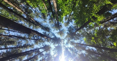 The Iconic Hiking Trail In The Cleveland Metroparks Is One Of The Coolest Outdoor Adventures You’ll Ever Take