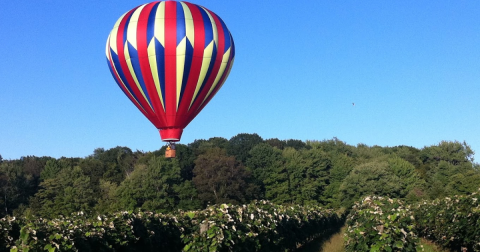 The Winery At This 108-Year-Old Farm Is One Of The Most Nostalgic Destinations Near Cleveland