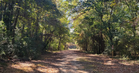 An Unforgettable Adventure Awaits On This College Campus Trail In Alabama