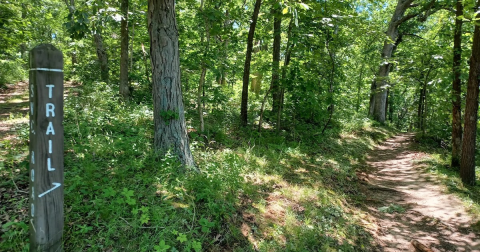 Enjoy A Long Walk At This Underrated State Park In Illinois