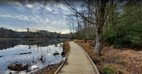 Calvert Cliffs State Park Is The Perfect Maryland Winter Travel Destination