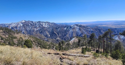 The Remote And Rugged Trail In The Gila Wilderness Of New Mexico That Will Lead You On A Grand Adventure