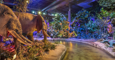 Texas Is Home To The Only Rainforest Cafe Restaurant With A River Boat Ride