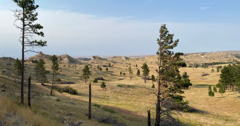 More People Should Know That Crazy Horse's Final Resting Place May Be Somewhere In Nebraska