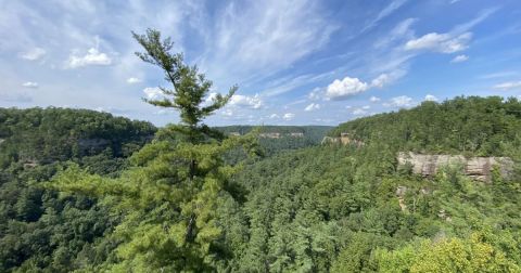 The Iconic Hiking Trail In Kentucky Is One Of The Coolest Outdoor Adventures You’ll Ever Take