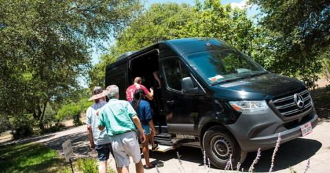 This Half-Day Wine Shuttle Takes You To 3 Of The Best Vineyards In The Iconic Texas Hill Country