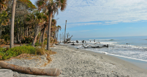 Your Ultimate Guide To State Parks In South Carolina