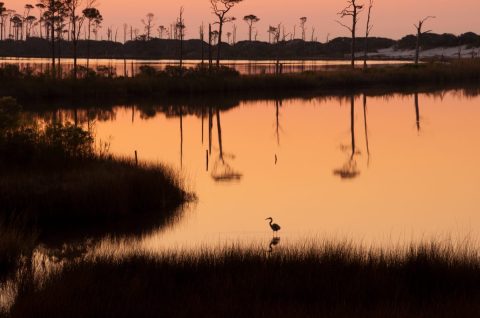 Your Ultimate Guide To State Parks In Alabama