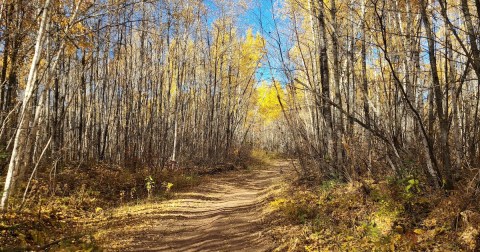 The Iconic Hiking Trail In Minnesota Is One Of The Coolest Outdoor Adventures You’ll Ever Take