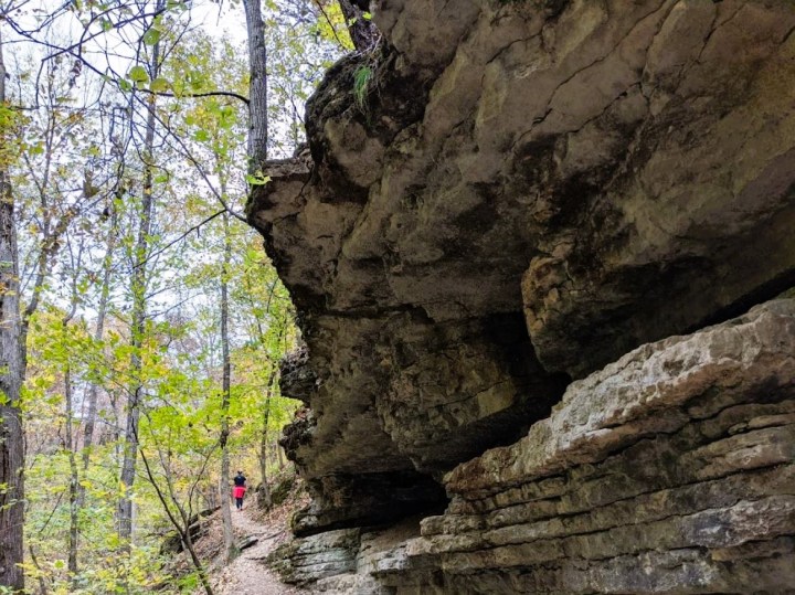 hiking trail in Rogers Arkansas