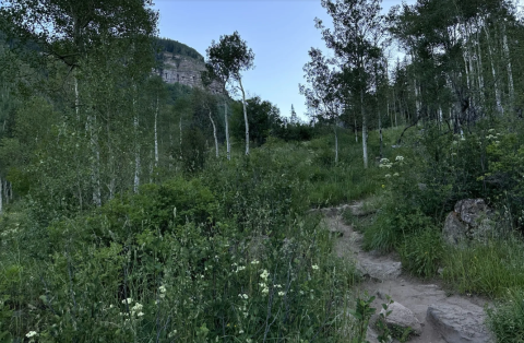 The Iconic Hiking Trail In Colorado Is One Of The Coolest Outdoor Adventures You’ll Ever Take