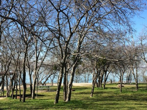 The Little-Known Natural Wonder In Texas That Becomes Even More Enchanting In The Wintertime