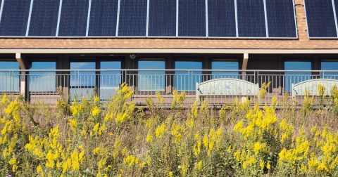 This Unique Garden In Wisconsin Is Perfect For A Day Trip Any Time Of Year