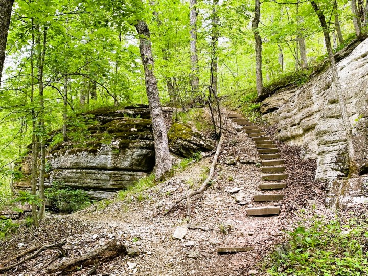 hiking trail in Rogers Arkansas