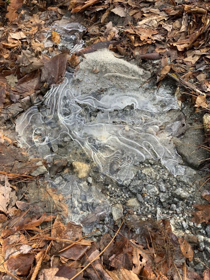 wintery landscape in North Carolina