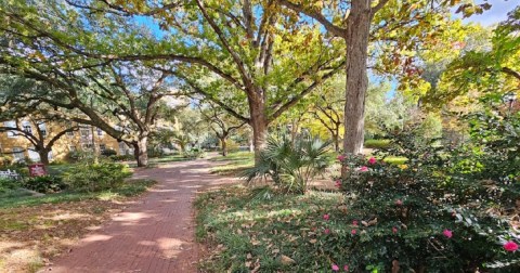 This Iconic Hiking Trail In South Carolina Is One Of The Coolest Outdoor Adventures You’ll Ever Take