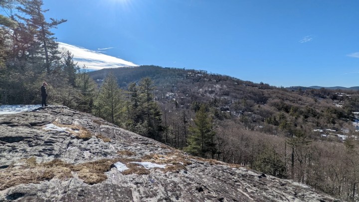 wintery landscape in North Carolina