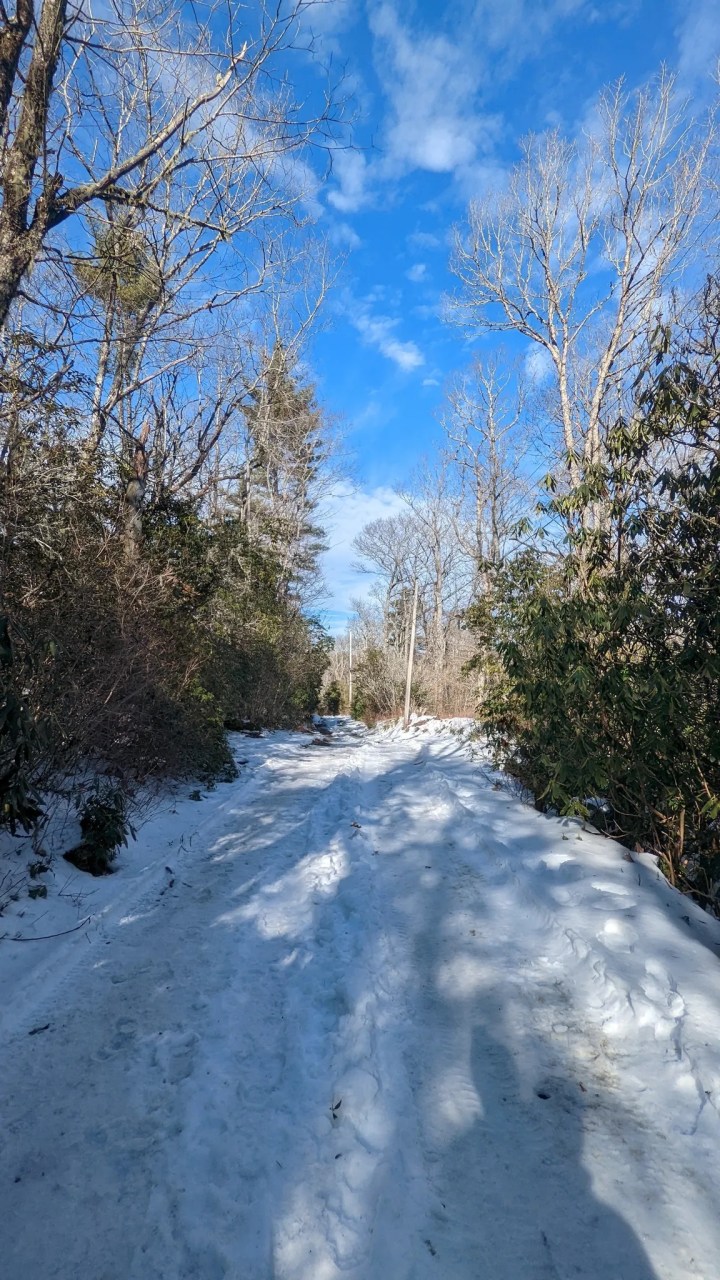 wintery landscape in North Carolina