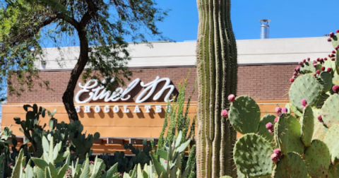 This Unique Cactus Garden In Nevada Is Perfect For A Day Trip Any Time Of Year