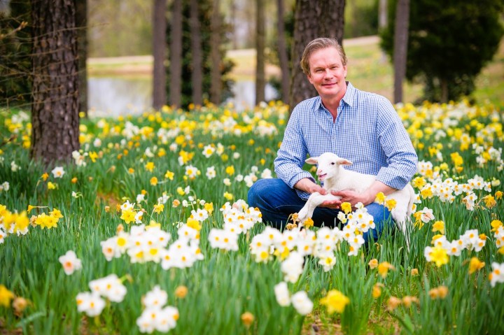 daffodil festival at Moss Mountain Farm