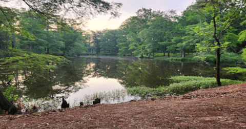 Chemin-A-Haut State Park In Louisiana Just Turned 89 Years Old And It's The Perfect Spot For A Day Trip