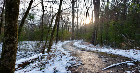 The Iconic Hiking Trail In Louisiana Is One Of The Coolest Outdoor Adventures You’ll Ever Take